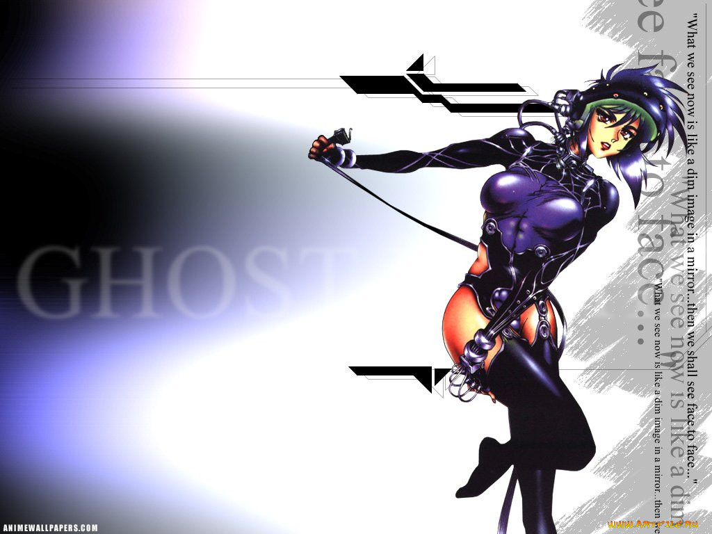 , ghost, in, the, shell